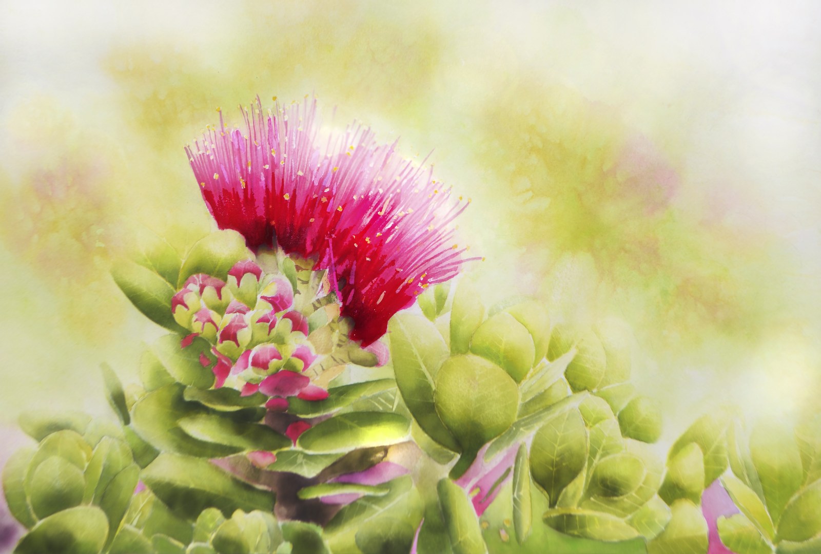 Ohia by Erin Sabado, printed by Maui Digital Imaging.