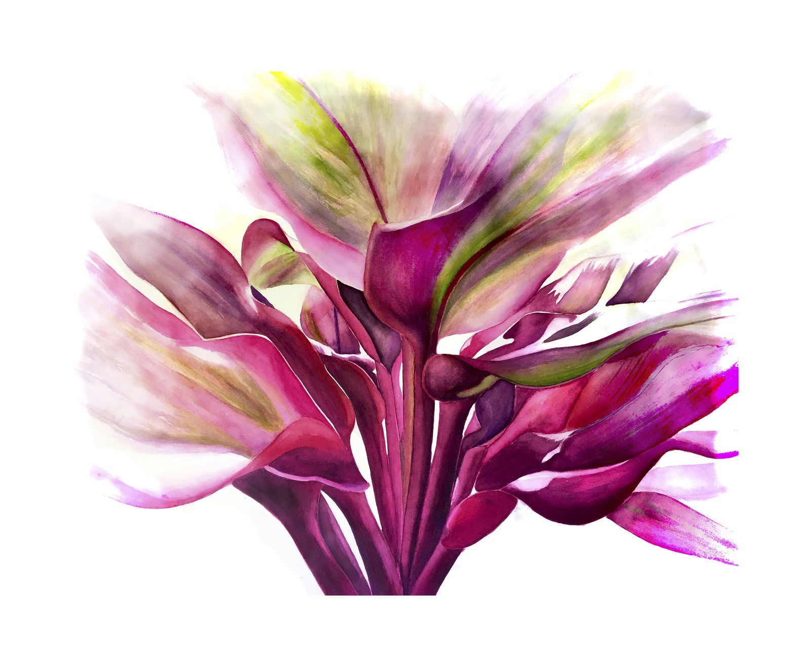 Contemporary Ti by Erin Sabado, printed by Maui Digital Imaging.