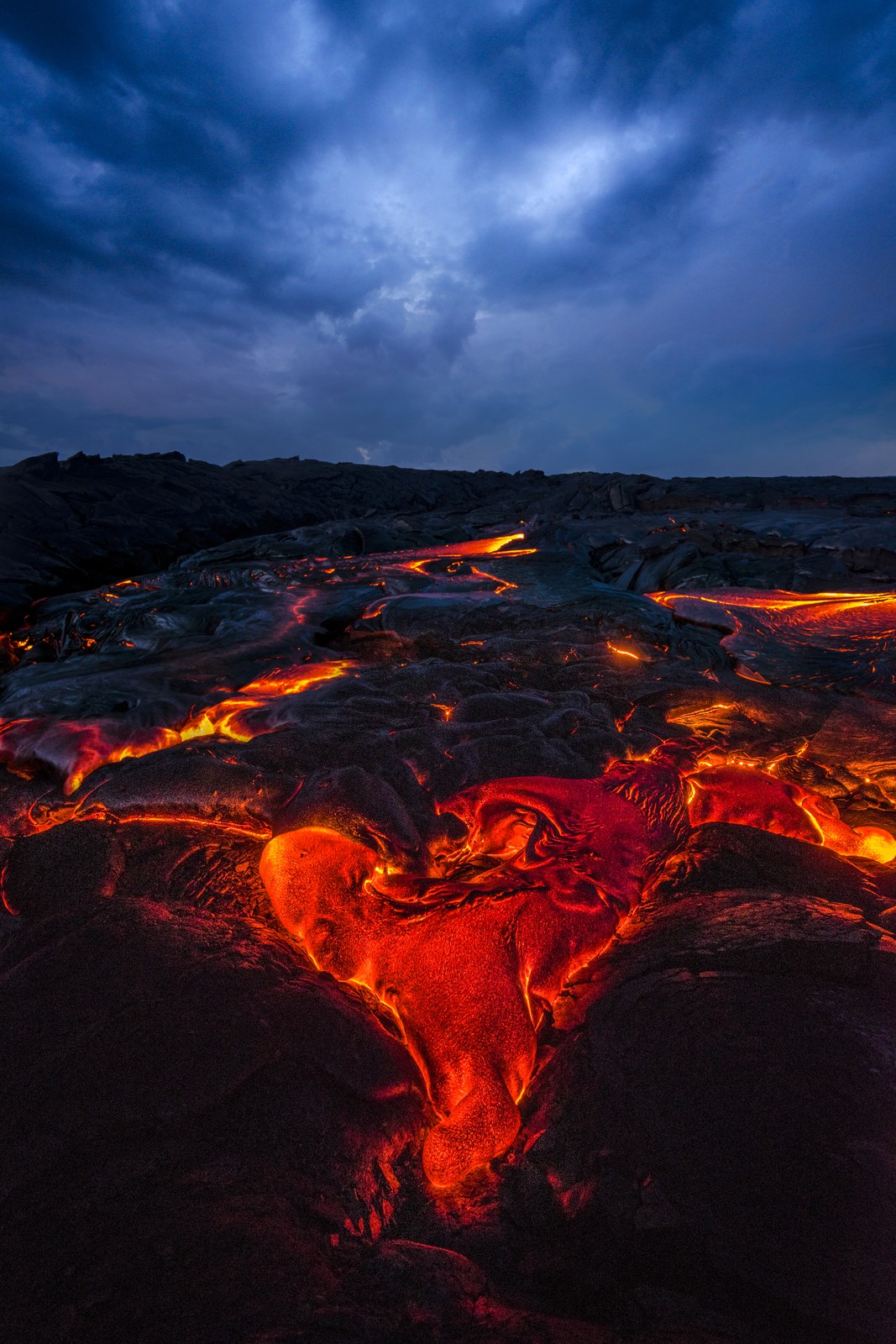 Growth by James Roemmling, printed by Maui Digital Imaging.