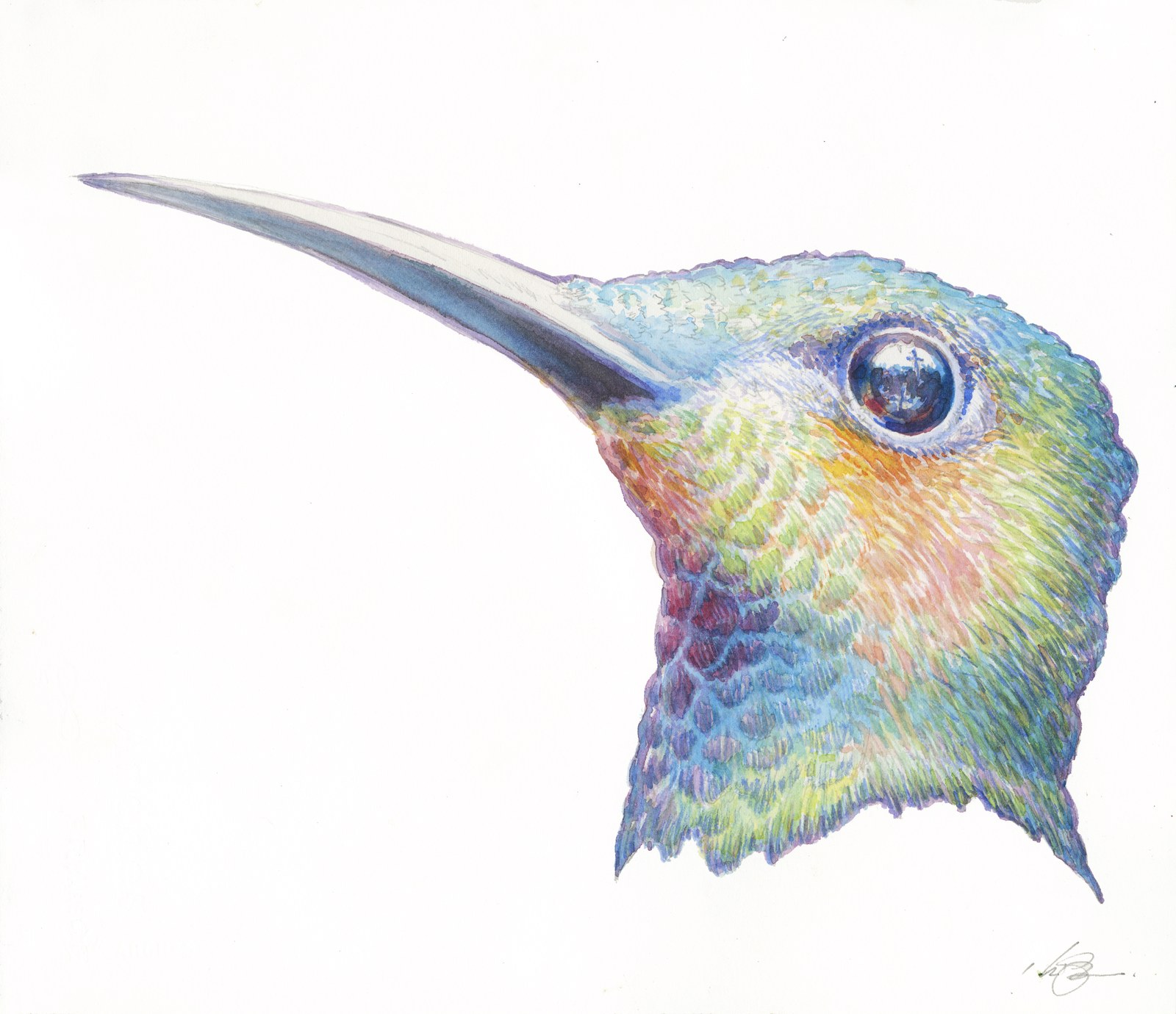 Hummingbird by Kristin Bernardo, printed by Maui Digital Imaging.