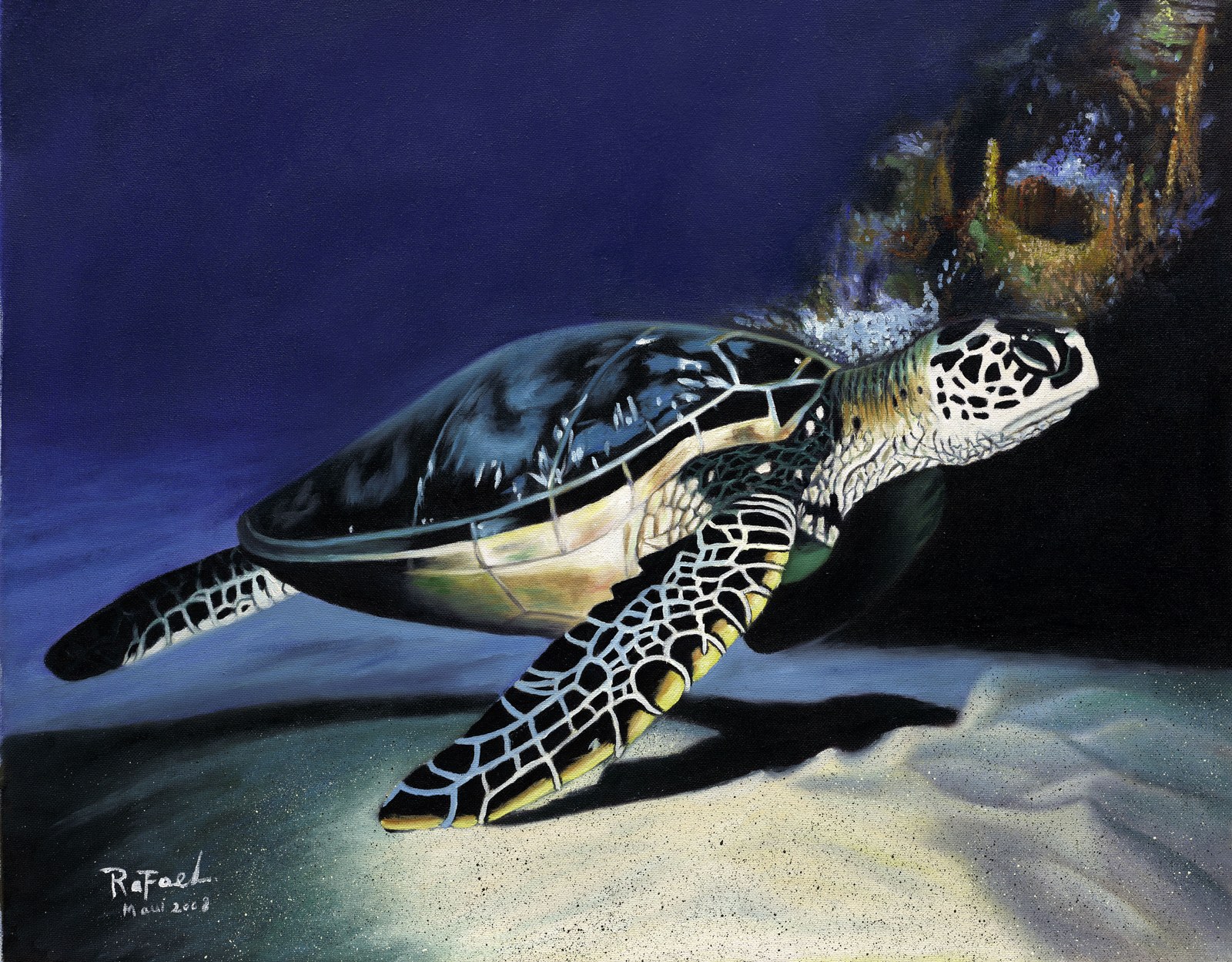 Artwork by Rafael Pereda, printed by Maui Digital Imaging.