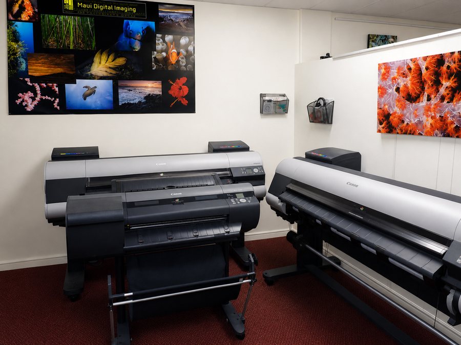 Two wide-format printers in the Maui Digital Imaging print room, with a large coral print on the wall behind them.