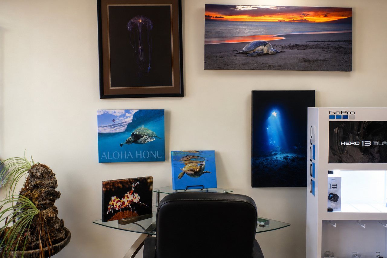 Underwater and sunset images displayed on metal and framed paper, including a jellyfish study and a beach sunset panorama.